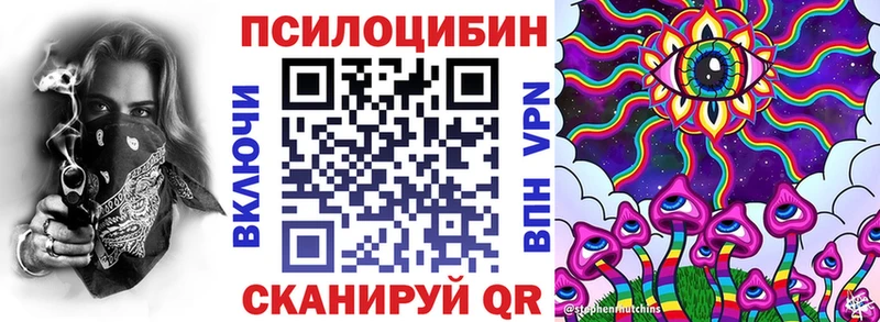 blacksprut   купить  цена  Краснодар  Галлюциногенные грибы мицелий 
