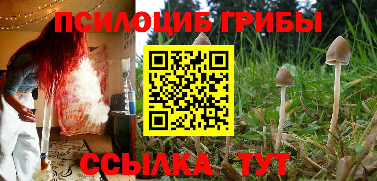 Меф МЯУ МЯУ кристаллы  Кокаин  Кокаин  Купить наркотики  ЭКСТАЗИ  Краснодар  МЕФ кристаллы  Гашиш  Альфа ПВП СОЛЬ   ГАШ 