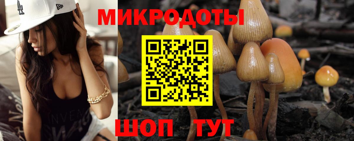 Псилоцибиновые грибы Cubensis  Вход с VPN  Краснодар 